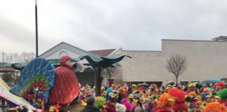 Vitoria estudia cambiar el orden de las comparsas del Carnaval