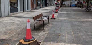 Avanza el asfalto en Vitoria y matan más árboles (12 fotos)