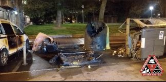 Arden en Vitoria coches y contenedores