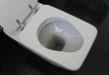 Odisea en Vitoria para un niña: WC siempre ‘reservado’ Más invitaciones a políticos ¡Ahora, a ver el W.C. de Vitoria!