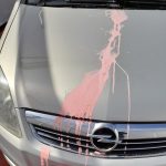 pintura coches gamberros