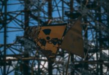 Euskadi quiere acoger 200 niños de Chernóbil