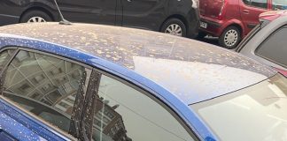 calima euskadi Amanecen embarrados cientos de coches en Bizkaia