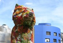 «Graves problemas» medioambientales en ampliar el Guggenheim