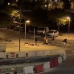 peleas vitoria