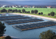 Bizkaia crea en Vitoria paneles solares flotantes