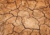Álava mueve 2,3 millones de litros de agua por la sequía