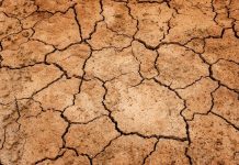 5,6 millones a agricultores alaveses por la sequía