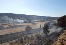 Incendios Álava: Desalojos, cortes de carretera y tren