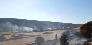 Incendios Álava: Desalojos, cortes de carretera y tren