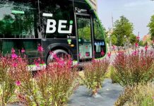 Aumenta el caos del servicio de autobuses en Vitoria