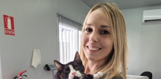 Dos turistas adoptan un gatito de Vitoria