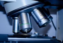 Álava visibilizará el papel de las mujeres en la ciencia