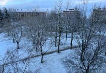 La nieve volverá el sábado a Vitoria (actualización previsiones)