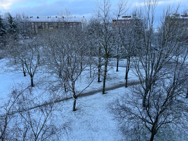 La nieve volverá el sábado a Vitoria (actualización previsiones)