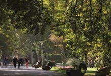 Vitoria, Madrid y Barcelona TOP en transparencia climática