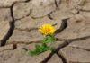 El septiembre más seco del siglo en Álava El mes más seco del siglo en Álava