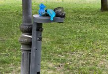 ´Pa mear y no echar gota´ Papelera inútil en Vitoria (foto)