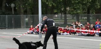 Perros policía asombran a niños en Vitoria