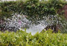 Álava: Piden a sus vecinos no regar jardines Álava: Piden a sus vecinos no regar jardines