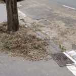 ¡Sorpresa! Fotos bajo la alcantarilla ¡Lógico Vitoria se inunde!