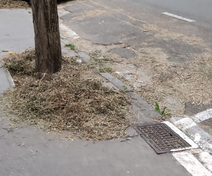 alcantarillas vitoria ¡Sorpresa! Fotos bajo la alcantarilla ¡Lógico Vitoria se inunde!