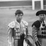 toros-vitoria-fotos