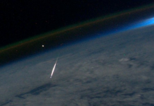 Planes veraniegos en Álava con reptiles y perseidas ¡Fechas! Excelente momento para ver perseidas en las próximas noches