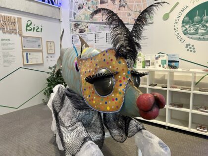 photo1707216154-420x315