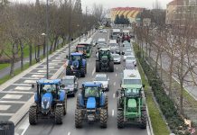 Consejo a cuenta de la tractorada en Vitoria