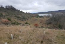 Álava mejorará 3 montes alrededor de la playa de Garaio
