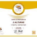 ICT 2024 All – Gold Medal Certificates v0.1-images-4