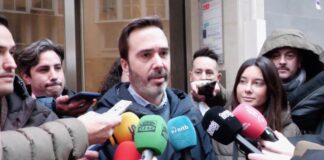 El jefe del PSOE alavés abandona el Gobierno Vasco