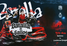 Exhibición de freestyle en el partido de Baskonia