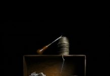 Las 5 mejores fotos del concurso en Vitoria