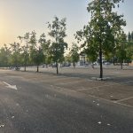 IMG_6524