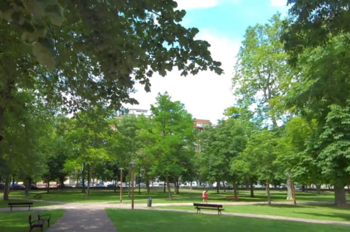 arboles-vitoria-sombra Árboles de Vitoria darán más sombra