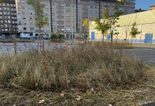 Los jardineros de Vitoria amenazan con nuevos «conflictos» Dineral adjudicado a la empresa de jardines en Vitoria ¡Cifra!