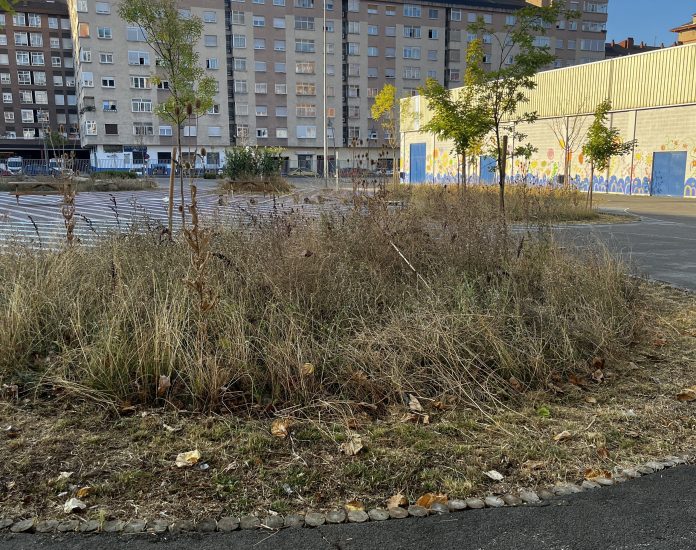 jardines-vitoria-empresa-contrato Dineral adjudicado a la empresa de jardines en Vitoria ¡Cifra!