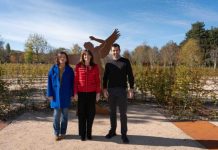 Vitoria: Laberinto de 4.000 m² y 6.000 árboles que cambian colores