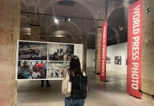 Las mejores fotos del mundo en Vitoria Las mejores fotos del mundo en Vitoria