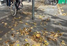 Vitoria no da abasto con hojas en un otoño desbordado Vitoria no da abasto con hojas en un otoño desbordado