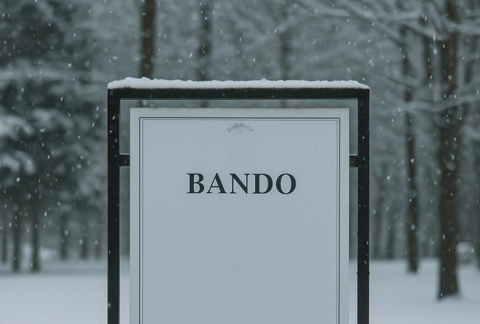 Bando por nieve en Vitoria: Normas y apoyos del Ayuntamiento