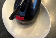 Una berenjena con nariz desata risas y selfies en Vitoria ¡Fotos Naringena! Una berenjena con nariz desata risas y selfies en Vitoria ¡Fotos Naringena!