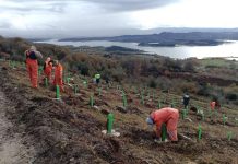 Recuperación ecológica en la cuenca del río Zadorra en Landa