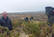 Los vinos de Rioja Alavesa no quieren líos ¡Fracaso de Diputación!