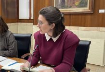 Más dinero para el cheque autónomo de Vitoria