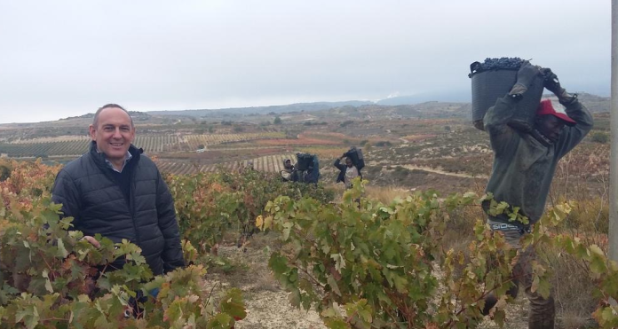vino-rioja-alavesa El vino tinto de Rioja Alavesa se desploma ¿Fracasa la Diputación?