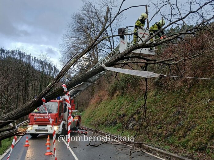 árbol-tren-álava Un árbol corta el tren en Álava
