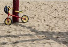Dificultades psicológicas en familias que adoptan en Álava